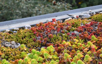 the cost of Caverswall green roof installation