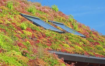 Caverswall living roof systems