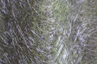 Caverswall fibreglass roof work